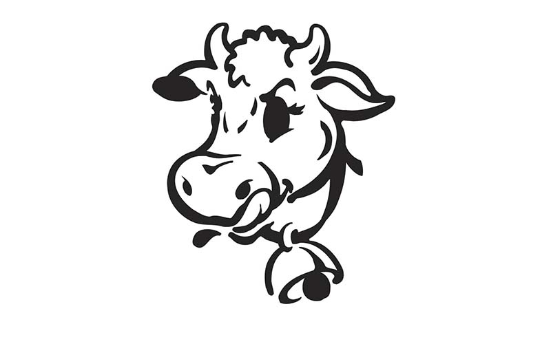 Sally Dairy