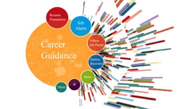 Career Guidance