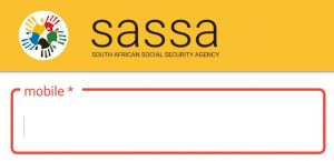 Check your SASSA SRD grant