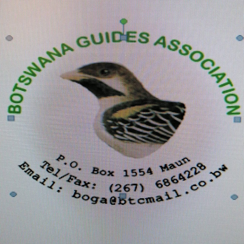 BGA