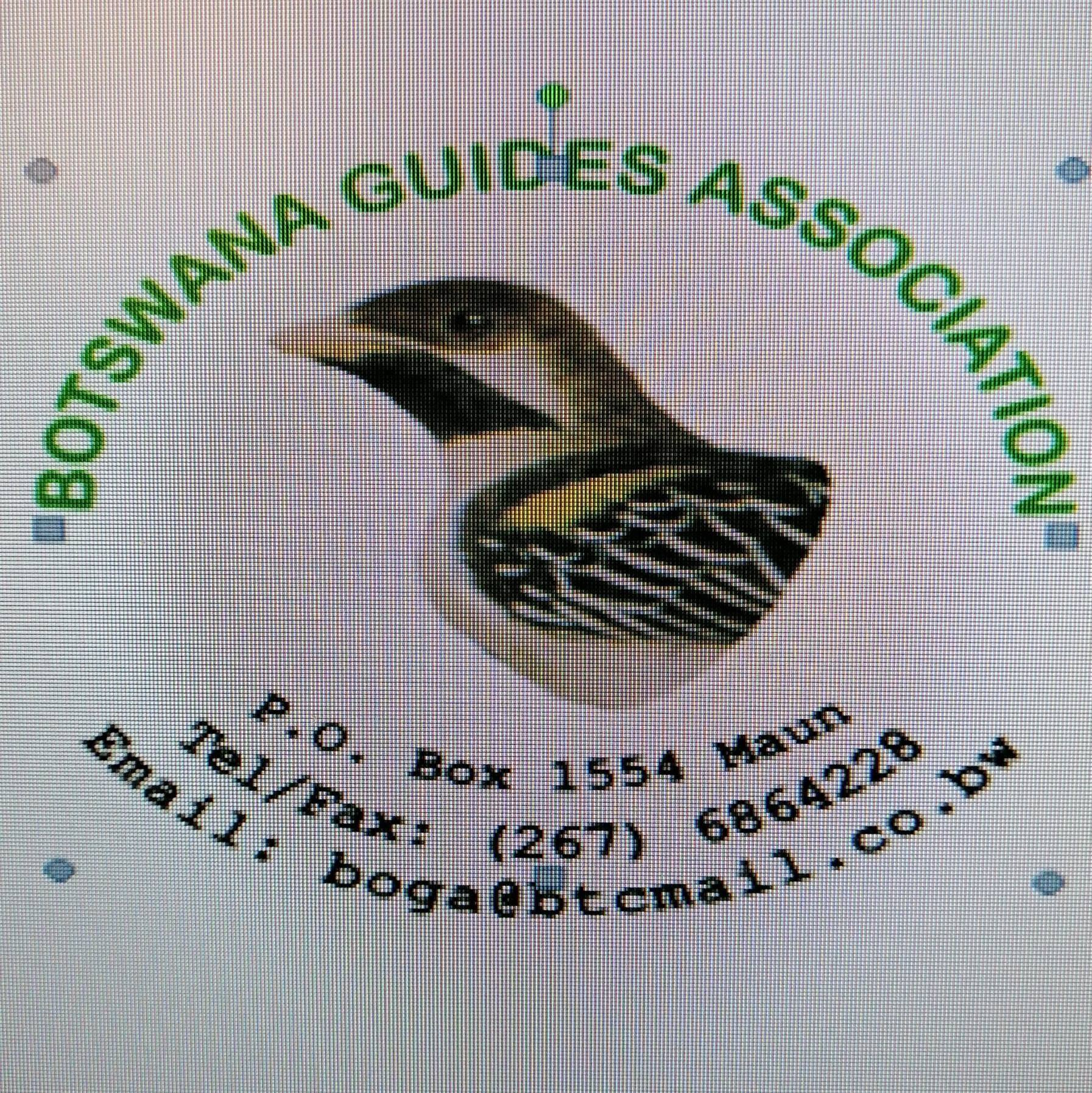 BGA