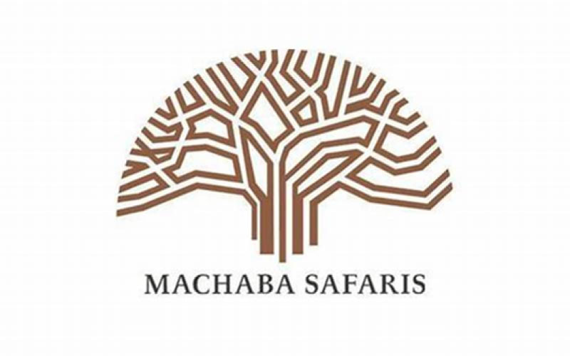 Machaba Safaris