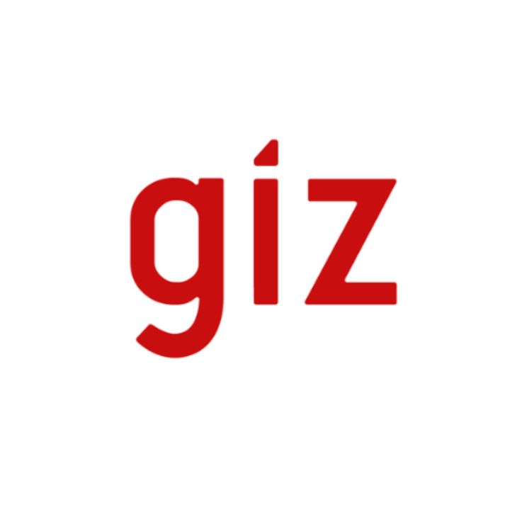 Job Positions at GIZ BOTSWANA (Closing date: varies)